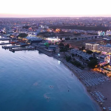 Orion ディディム