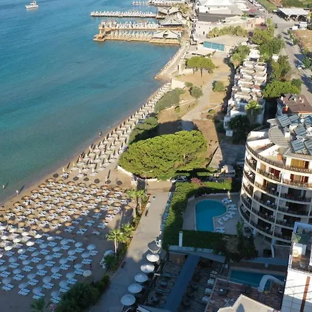 ホテル Orion ディディム