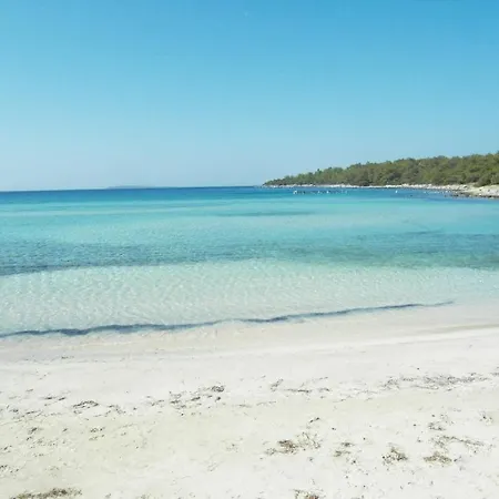 Orion Didim